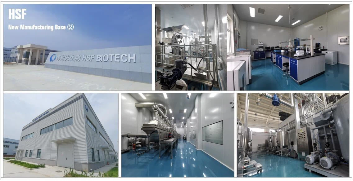 HSF manufacturing base ②