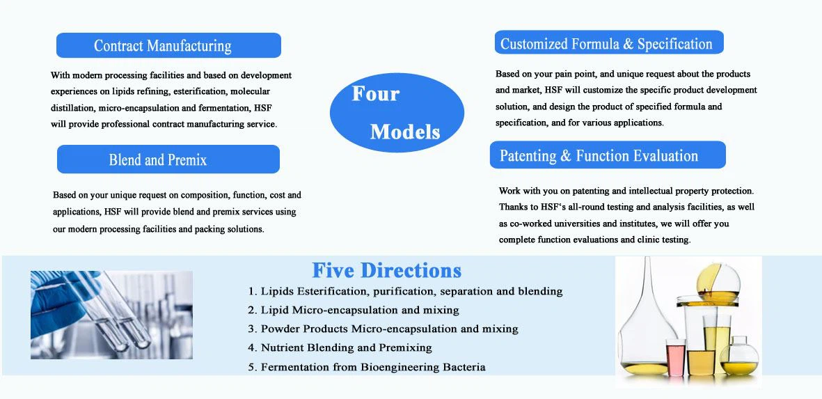 HSF DeePPD Service 02