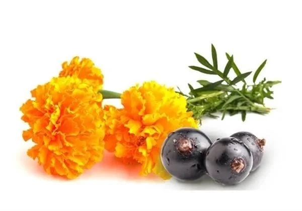 Lutein Lutein
