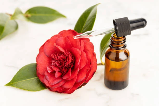 Application of Camellia Oil Application of Camellia Oil