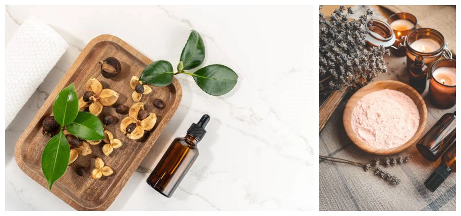 Camellia Seed Oil Related Products Camellia Seed Oil Related Products