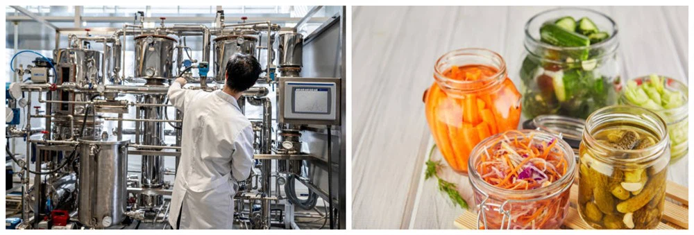 Fermentation equipment and fermented products Fermentation equipment and fermented products