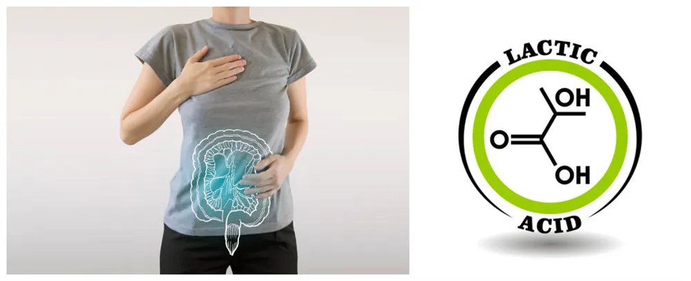 Chemical structure of lactic acid bacteria Chemical structure of lactic acid bacteria