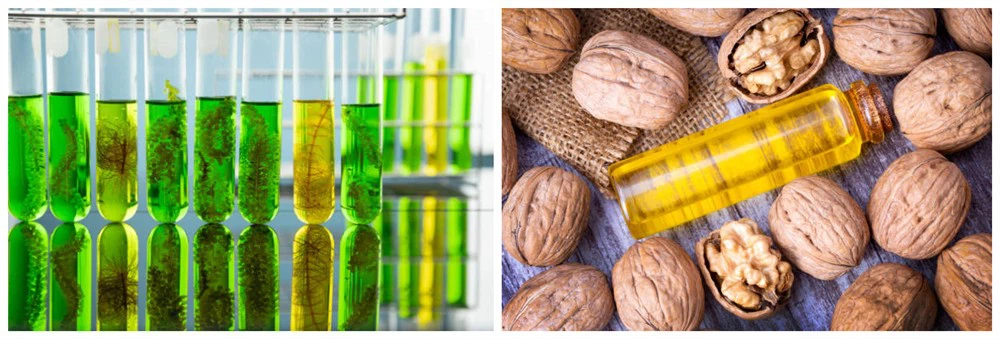 DHA algal oil & Walnut oil DHA algal oil & Walnut oil