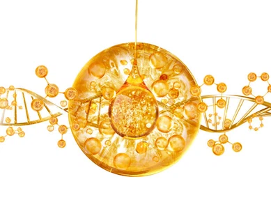 info-612-472 info-612-472