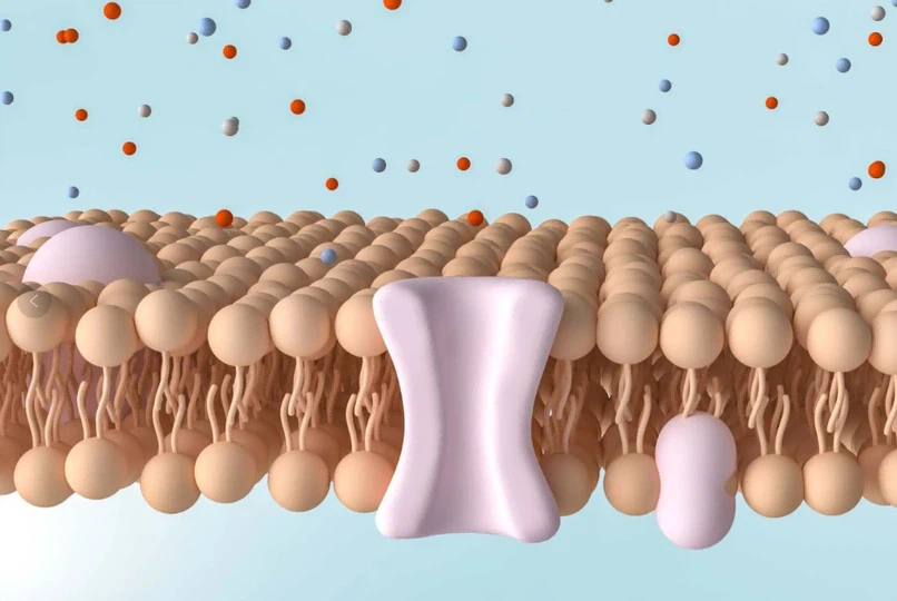 product-936-627 product-936-627