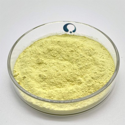 product-2436-2436 product-2436-2436