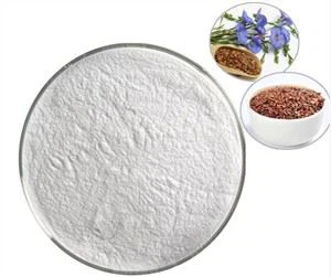 Polvere di olio di semi di lino