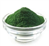 Spirulina Proteina in Polvere