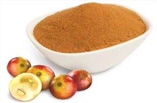 Estratto di camu camu in polvere