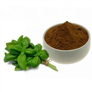 Polvere di estratto di basilico santo