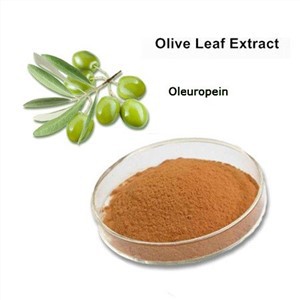 Oleuropeina in polvere