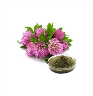 Polvere di estratto di trifoglio rosso