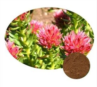 Polvere di estratto di Rhodiola Rosea