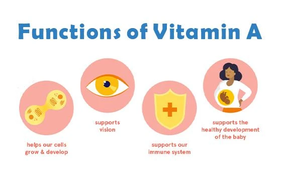 A cosa serve la vitamina A?