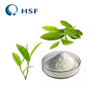 Polvere di L-teanina pura